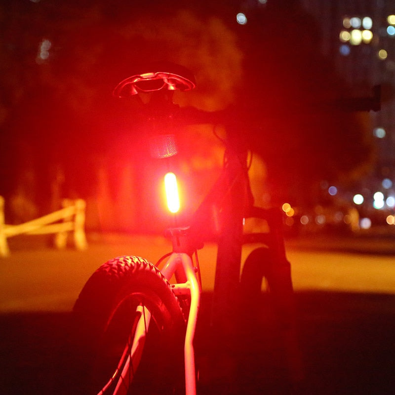 Éclairage vélo arrière LED Rouge & Bleu Pédale Maurice